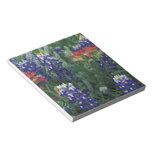 VS, Texas Hill Country. Blauwbijen en blauwvintoni Notitieblok (Schuin)