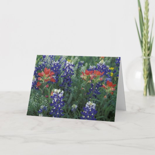 VS, Texas Hill Country. Blauwvintonijn en Kaart (Voorkant)