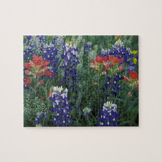VS, Texas Hill Country. Bluebonnets en Legpuzzel (Horizontaal)