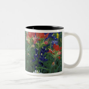 VS, Texas Hill Country. Bluebonnets en Tweekleurige Koffiemok