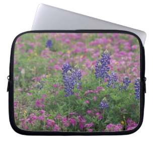 VS, Texas Hill Country. Bluebonnets onder phlox Laptop Sleeve