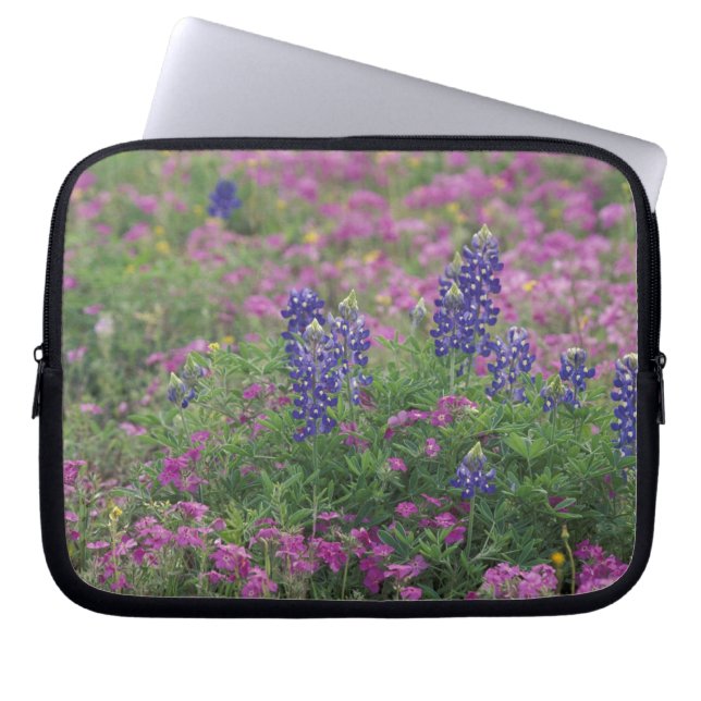 VS, Texas Hill Country. Bluebonnets onder phlox Laptop Sleeve (Voorkant)