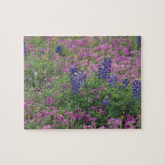 VS, Texas Hill Country. Bluebonnets onder phlox Legpuzzel (Horizontaal)