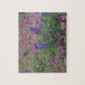 VS, Texas Hill Country. Bluebonnets onder phlox Legpuzzel (Verticaal)