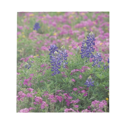 VS, Texas Hill Country. Bluebonnets onder phlox Notitieblok (Voorkant)