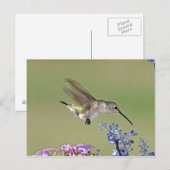 VS, Texas, Hill Country. Vrouw met zwarte inkt Briefkaart (Voorkant / Achterkant)