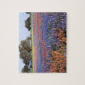 VS, Texas, Llano. Blauwbijen en robeboten Legpuzzel (Verticaal)