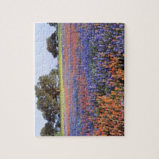 VS, Texas, Llano. Blauwbijen en robeboten Legpuzzel (Verticaal)