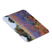 VS, Texas, Llano. Blauwbijen en robeboten Magneet (Rechterzijde)