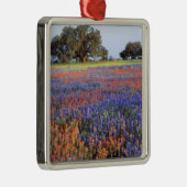 VS, Texas, Llano. Blauwbijen en robeboten Metalen Ornament (Rechts)