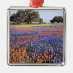 VS, Texas, Llano. Blauwbijen en robeboten Metalen Ornament