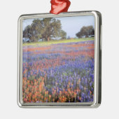 VS, Texas, Llano. Blauwbijen en robeboten Metalen Ornament (Links)