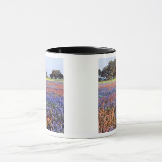 VS, Texas, Llano. Blauwbijen en robeboten Mok (Midden)