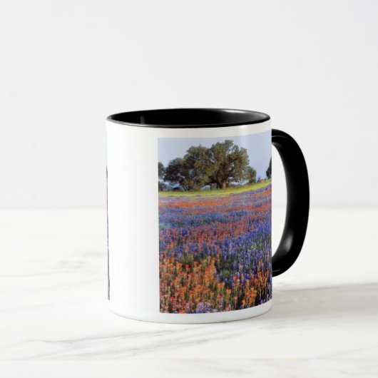 VS, Texas, Llano. Blauwbijen en robeboten Mok (Voorkant rechts)