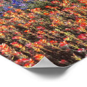 VS, Texas, Llano. Blauwbijen en robeboten Poster (Hoek)