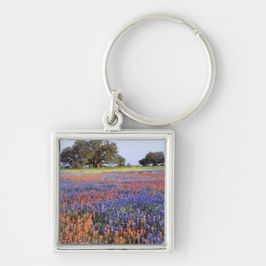 VS, Texas, Llano. Blauwe en rode lupinen Sleutelhanger (Voorkant)