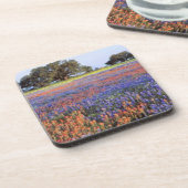 VS, Texas, Llano. Bluebonnets en redbonnets Bier Onderzetter (Linkerzijde)