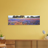 VS, Texas, Llano. Bluebonnets en redbonnets Canvas Afdruk (Insitu (Woonkamer))