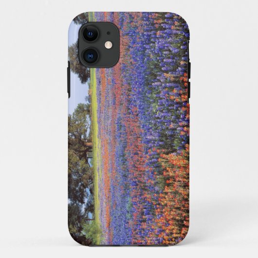 VS, Texas, Llano. Bluebonnets en redbonnets Case-Mate iPhone Case (Achterkant)