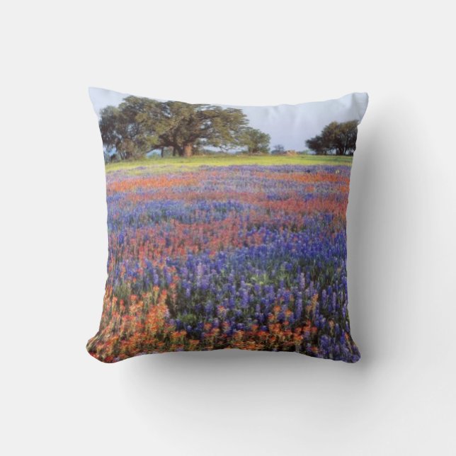 VS, Texas, Llano. Bluebonnets en redbonnets Kussen (Voorkant)