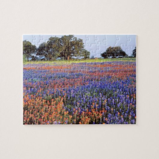 VS, Texas, Llano. Bluebonnets en redbonnets Legpuzzel (Horizontaal)