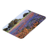 VS, Texas, Llano. Bluebonnets en redbonnets Magneet (Linkerzijde)
