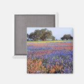 VS, Texas, Llano. Bluebonnets en redbonnets Magneet (Voorkant / Achterkant)