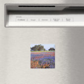 VS, Texas, Llano. Bluebonnets en redbonnets Magneet (Insitu (Vaatwasser))