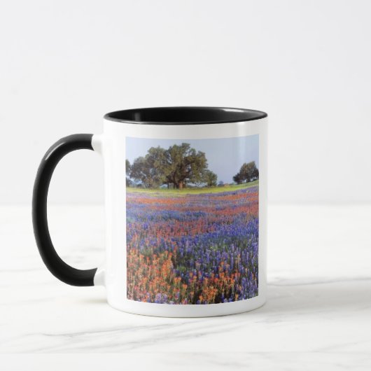 VS, Texas, Llano. Bluebonnets en redbonnets Mok (Links)