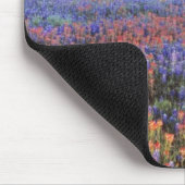 VS, Texas, Llano. Bluebonnets en redbonnets Muismat (Hoek)