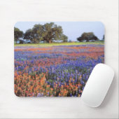 VS, Texas, Llano. Bluebonnets en redbonnets Muismat (Met muis)