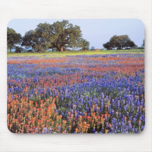 VS, Texas, Llano. Bluebonnets en redbonnets Muismat (Voorkant)