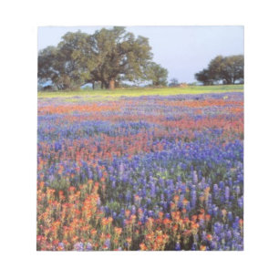 VS, Texas, Llano. Bluebonnets en redbonnets Notitieblok