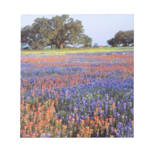 VS, Texas, Llano. Bluebonnets en redbonnets Notitieblok (Voorkant)