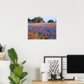 VS, Texas, Llano. Bluebonnets en redbonnets Poster (Thuiskantoor)