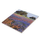 VS, Texas, Llano. Bluebonnets en redbonnets Tegeltje (Zijkant)