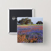 VS, Texas, Llano. Bluebonnets en redbonnets Vierkante Button 5,1 Cm (Voorkant /achterkant)