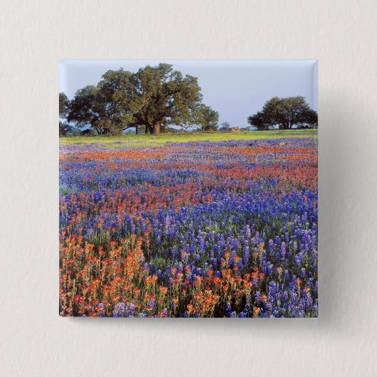 VS, Texas, Llano. Bluebonnets en redbonnets Vierkante Button 5,1 Cm (Voorkant)