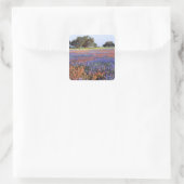 VS, Texas, Llano. Bluebonnets en redbonnets Vierkante Sticker (Tas)