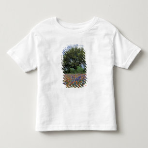 VS, Texas, Marble Falls Paintbrush en Kinder Shirts