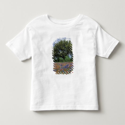 VS, Texas, Marble Falls Paintbrush en Kinder Shirts (Voorkant)