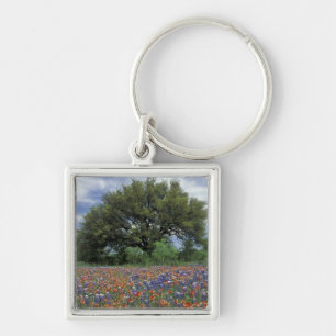 VS, Texas, Marble Falls Paintbrush en Sleutelhanger