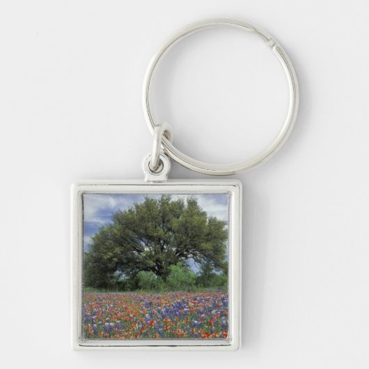 VS, Texas, Marble Falls Paintbrush en Sleutelhanger (Voorkant)
