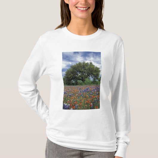 VS, Texas, Marble Falls Paintbrush en T-shirt (Voorkant)