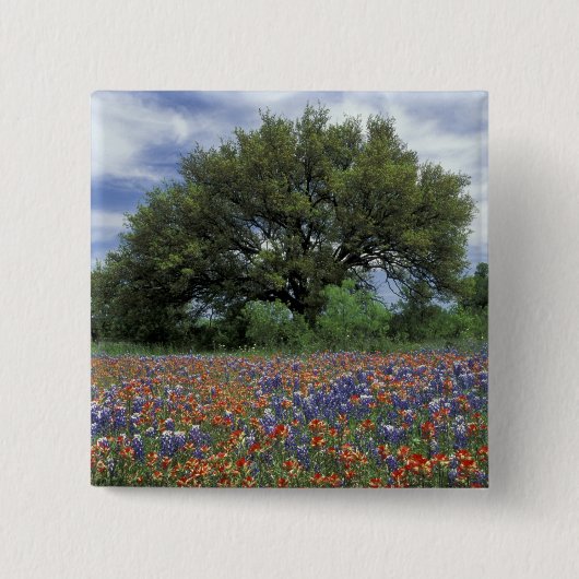 VS, Texas, Marble Falls Paintbrush en Vierkante Button 5,1 Cm (Voorkant)