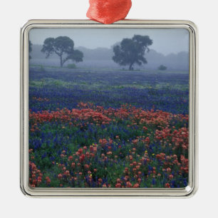 VS, Texas, nabij Lytle Fog, eiken, blauwe kapjes Metalen Ornament