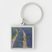 VS, Texas, nabij Marble Herfsten, Tracks in blauw Sleutelhanger (Voorkant)
