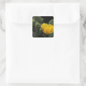 VS, Texas, Prickly Pear Cactus in bloei. Vierkante Sticker (Tas)