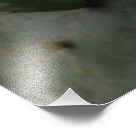 VS, Texas, Prickly Pear Cactus in bloom. Foto Afdruk (Hoek)