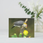 VS, Texas, Rio Grande Valley, McAllen. Heren Briefkaart (Staand voorkant)